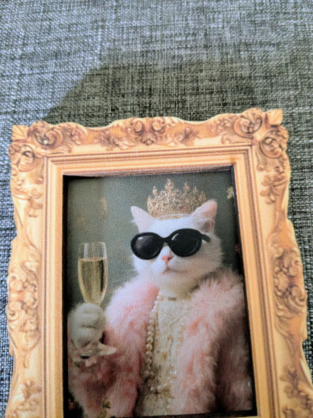 N/A charming cat